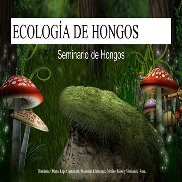 Ecologia de hongos