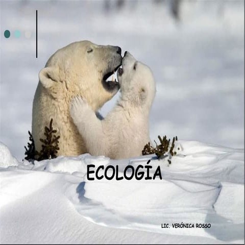 Ecología, Población y Comunidad