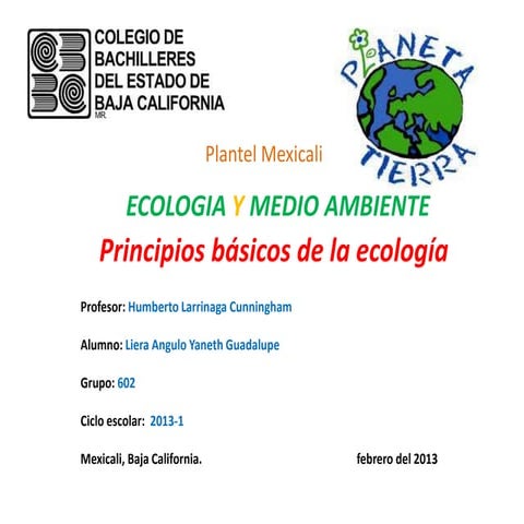 Ecologia Yaneth Liera 602