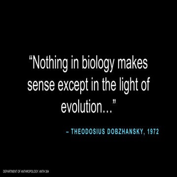 Evolutionary Approaches to Ecological Anthropology