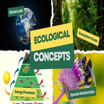 Comprehensive Overview of Ecology: Principles, Interactions, and Human ...