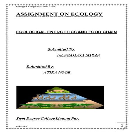 food chain and ecological energetics
