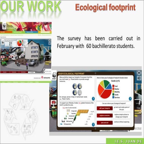 Ecological footprint
