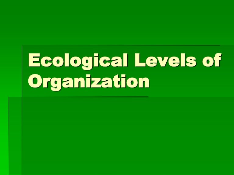 Ecological levels of organization