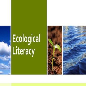 Ecological literacy