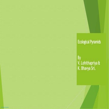 Ecologicalpyramids               pyraminds