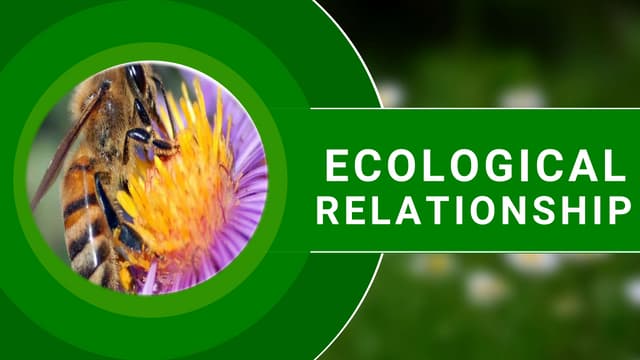 Ecological Relationship.pptx