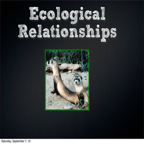 Ecological relationships