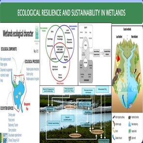 Ecological resilience and sustainabilityin wetlands