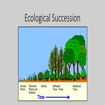 Ecological succession