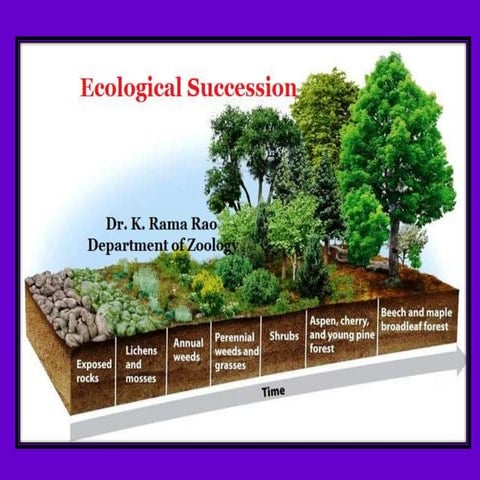 Ecological succession