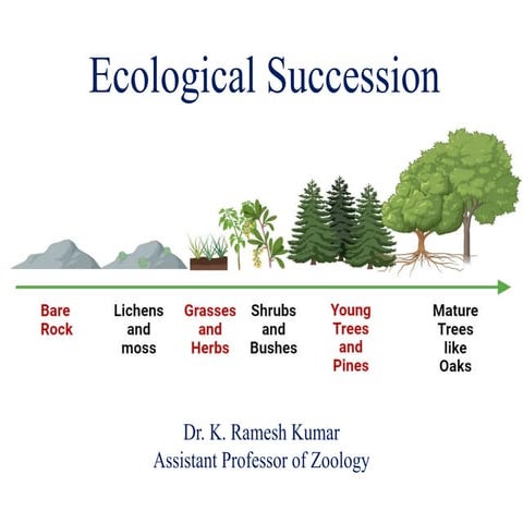Ecological Succession-Process, types, patterns & Significance.pptx