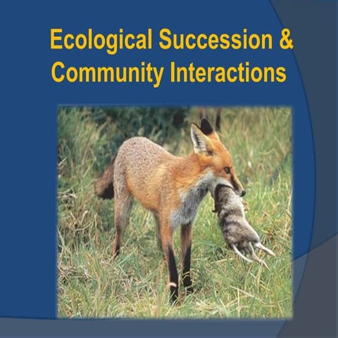 Ecological Succession and Community Interactions