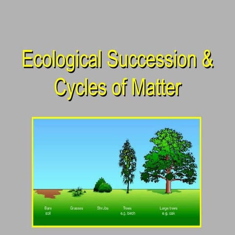 Ecological succession & cycles of matter