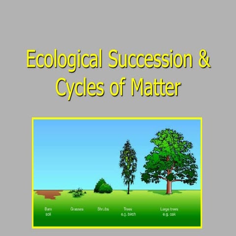 Ecological succession & cycles of matter