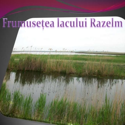 Lacul razelm | PPSX