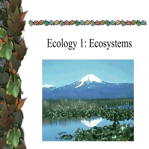 Ecology 1