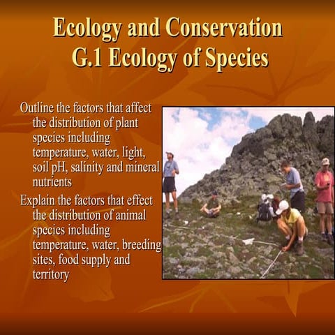 Ecology PowerPoint