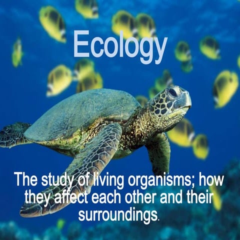 Ecology
