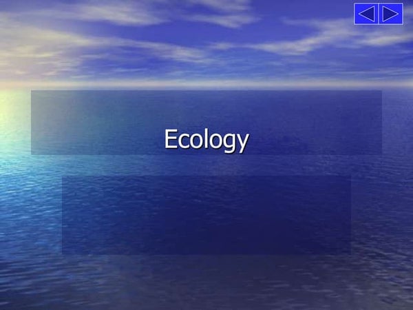 Food chain,food web and ecological pyramids Biology Diagrams