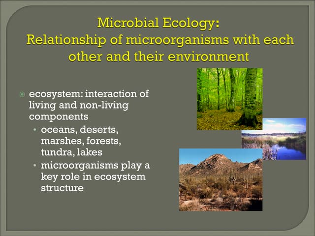 Ecology