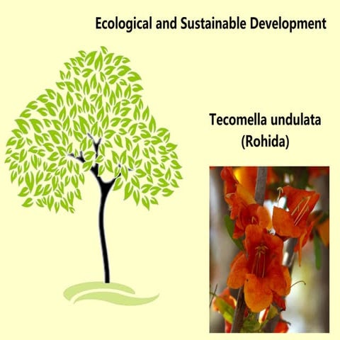 Ecological and Sustainable Development