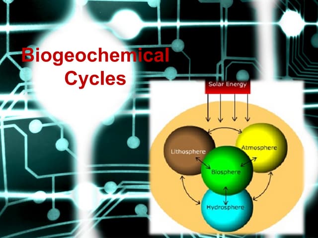 Ecology b-cycle