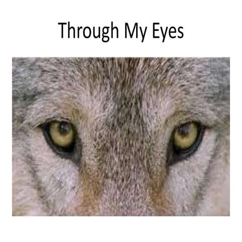 Ecology Through My Eyes