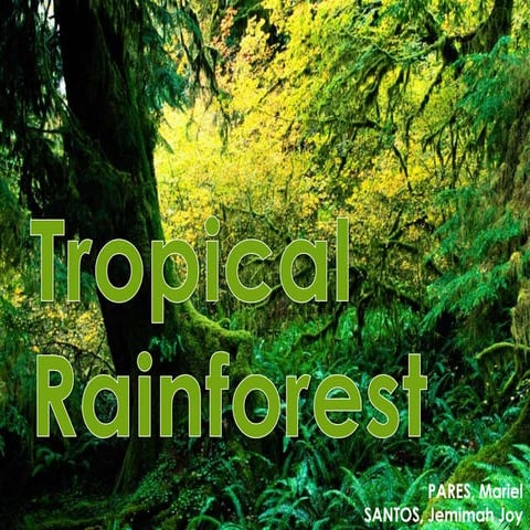 Ecology - Tropical Rainforests