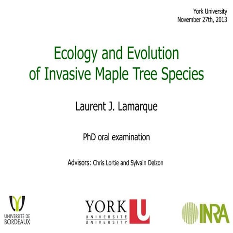 Ecology and evolution of maple tree invasion