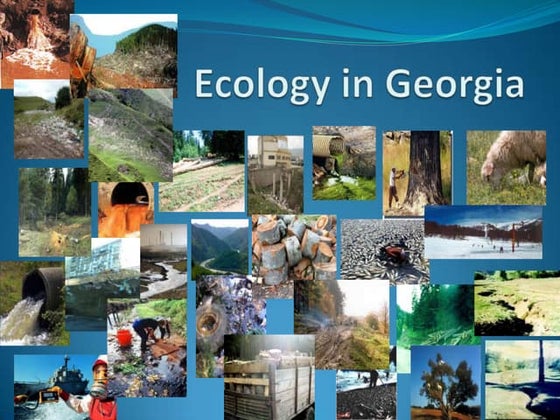 Culture and Garbage presentation | PPT