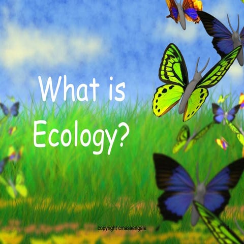 Ecology introduction