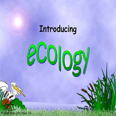 Ecology Animal Plants Ecosystem Ppt Ppt