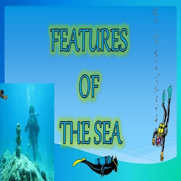 SEA FEATURES