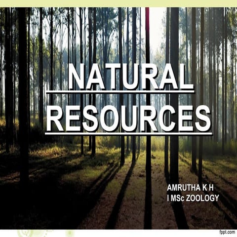 Natural Resources
