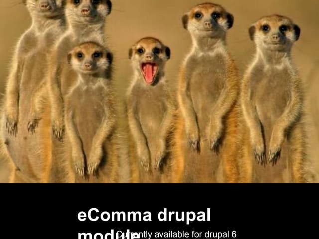 eComma