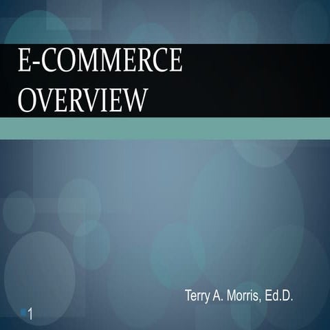 Ecommerce Overview 2013