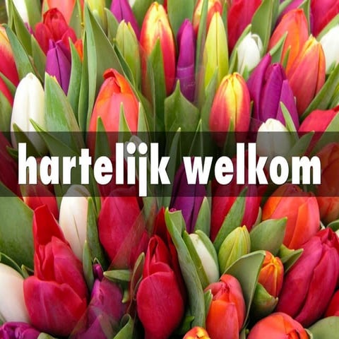 Ecommerce in Holland