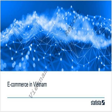 E-commerce in vietnam report from statistics 2020