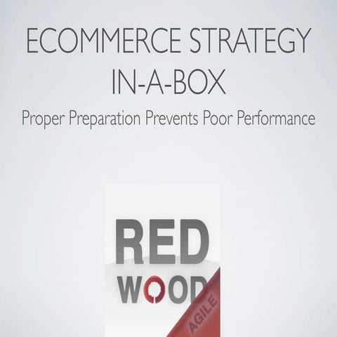 eCommerce Strategy In-a-Box