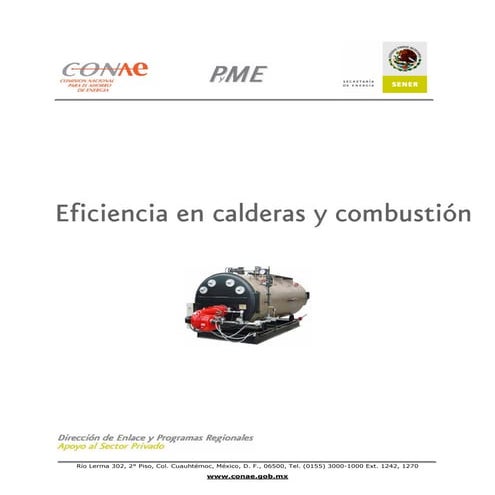 Eficiencia en calderas y combustion