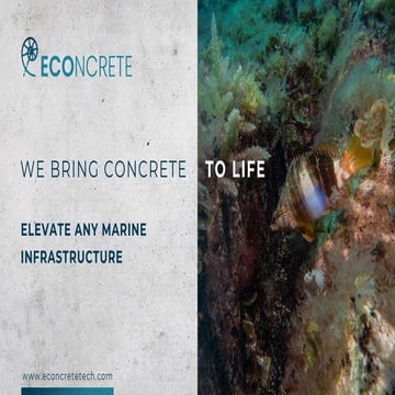 Econcrete staten island living shoreline