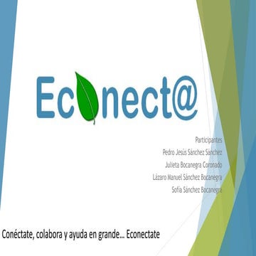 Econecta