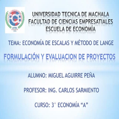 Economia de escala y metodo de lange