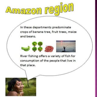 Economic activities in colombia