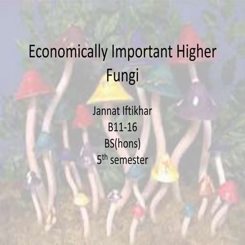 Economically important higher fungi