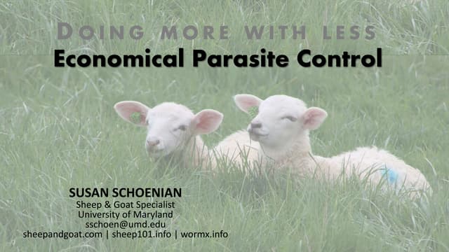 The Five Point Check® | PPTX