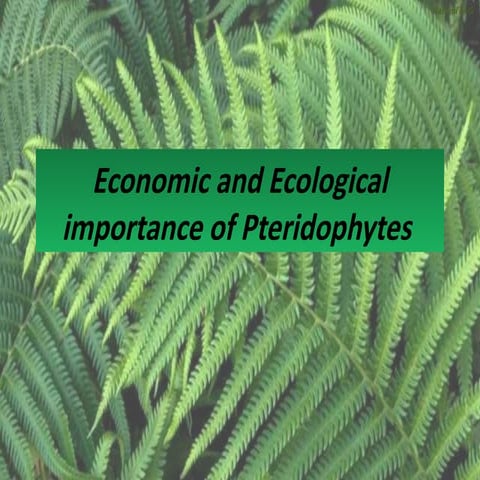 Economic and ecological importance of Pteridophytes.pptx