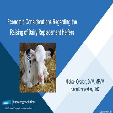 Economic Considerations Regarding the Raising of Dairy Replacement Heifers