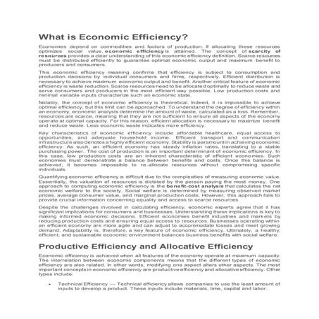 Economic Efficiency.docx